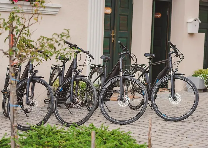 بيت شباب Gabronka *