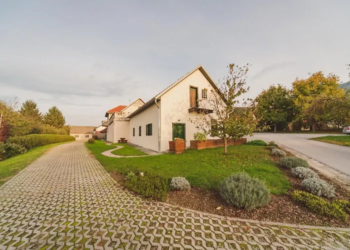 بيت شباب Gabronka